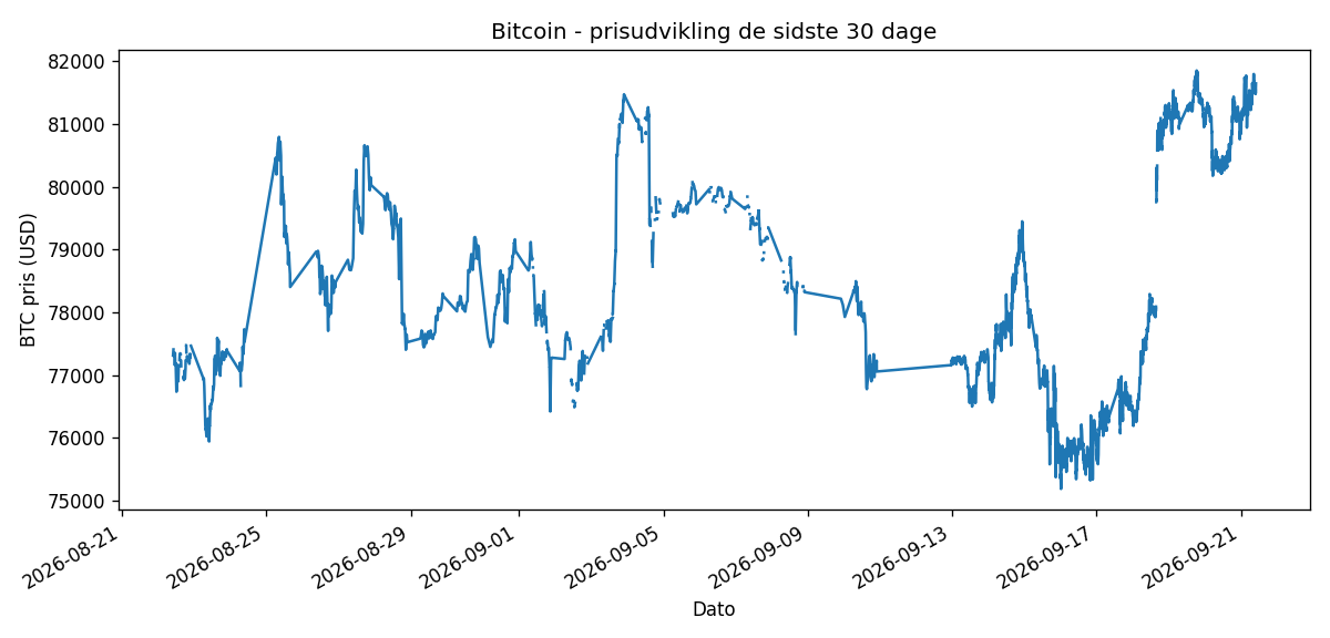 Bitcoin prisgraf sidste 30 dage